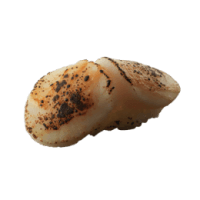 sushi-seared-scallop