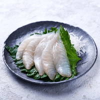 seabream-sashimi