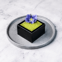 matcha-cheescake